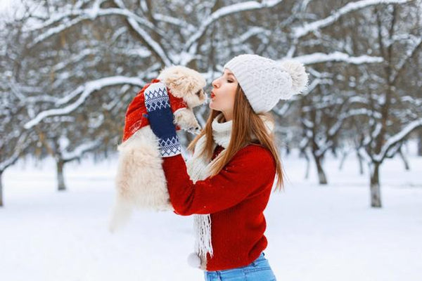 OUR FAVORITE PRODUCTS THAT WILL KEEP YOUR PUP TOASTY THIS WINTER-Bonne et Filou