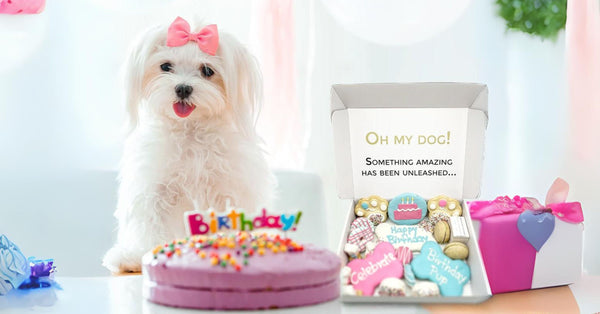 Best Dog Treat Subscription Boxes