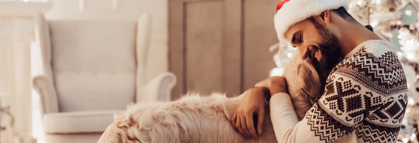 THE 7 BEST STOCKING STUFFERS FOR THE DOG IN YOUR LIFE-Bonne et Filou