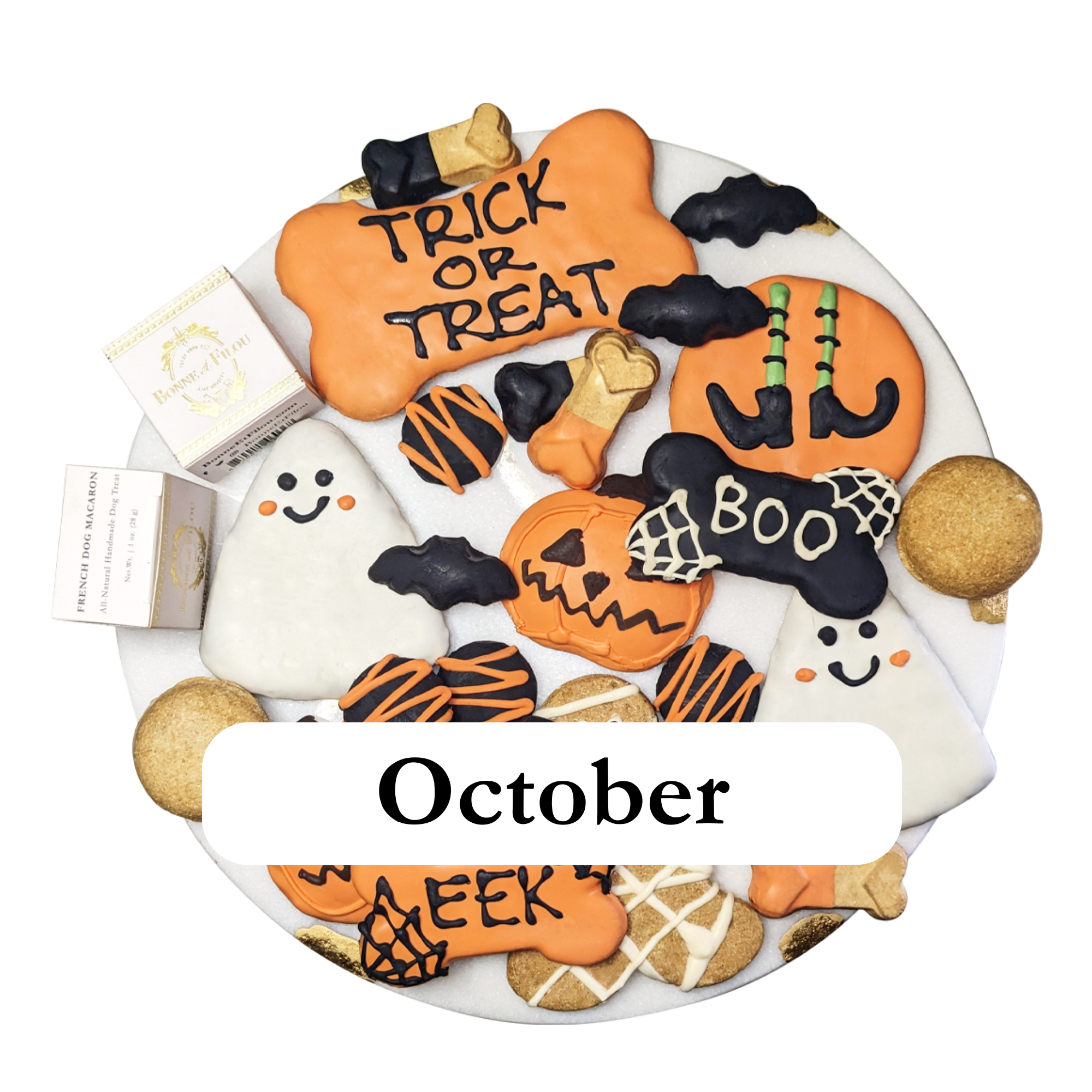 Themed Dog Treats Box Subscription - Month-to-Month