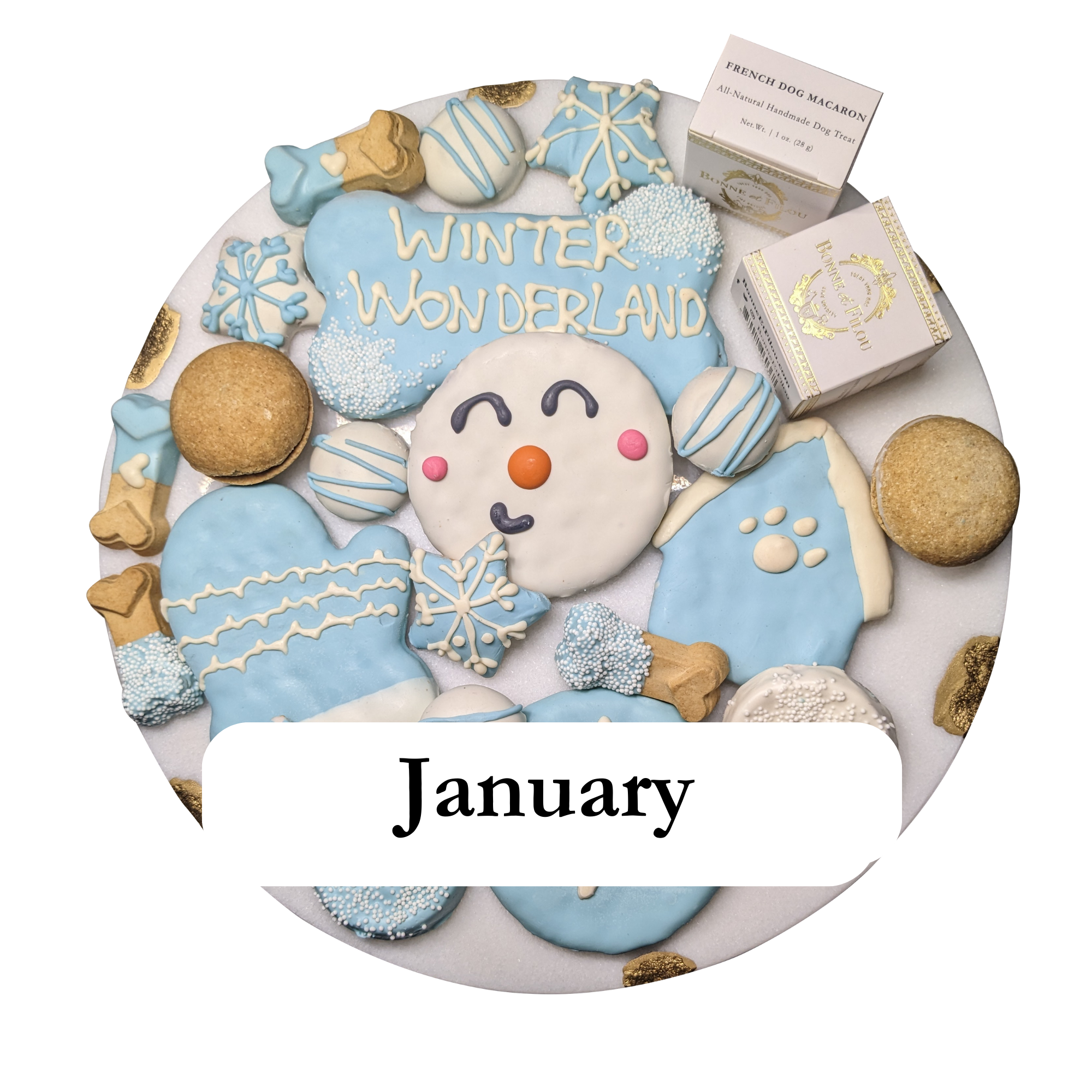 Themed Dog Treats Box Subscription - Month-to-Month
