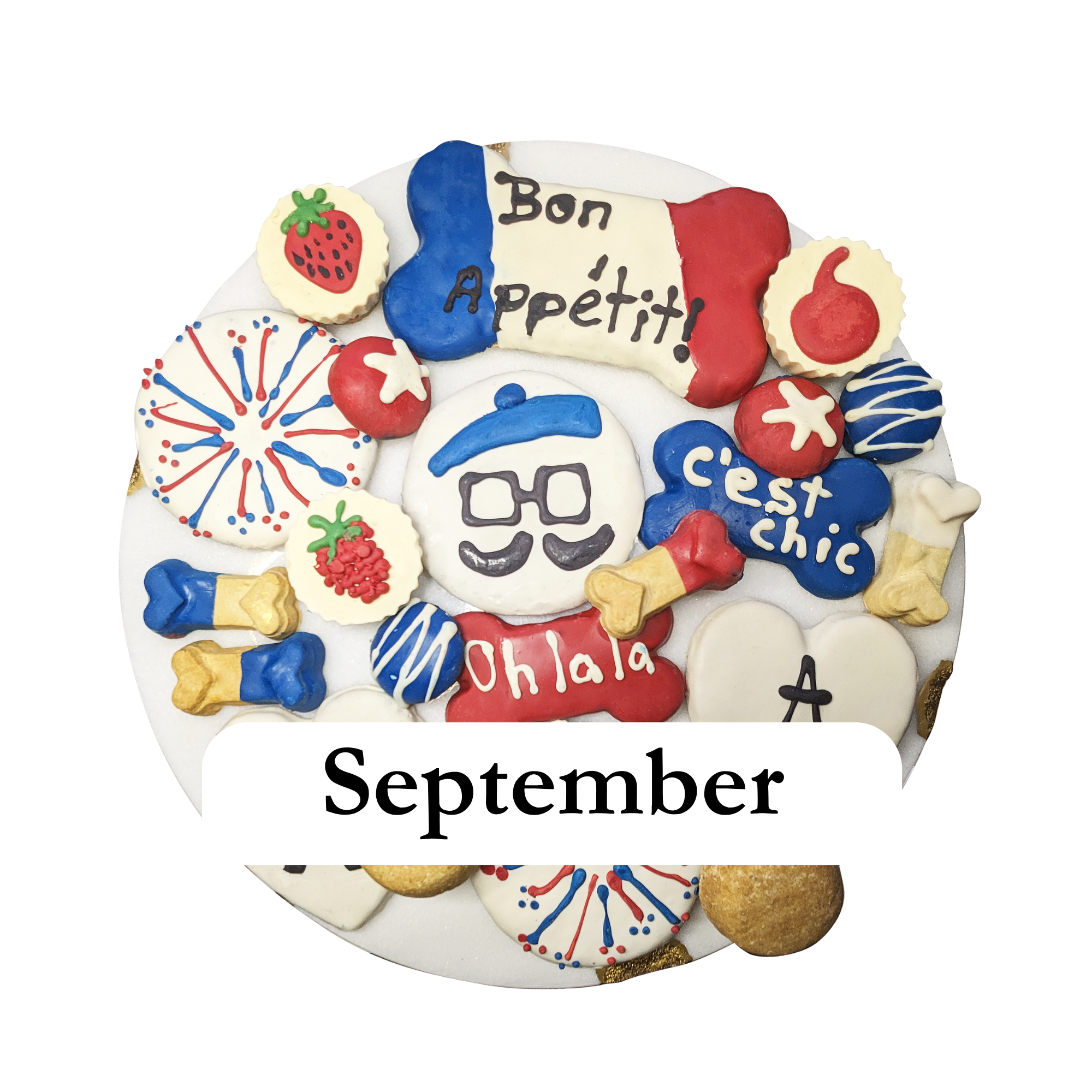 Themed Dog Treats Box Subscription - Month-to-Month