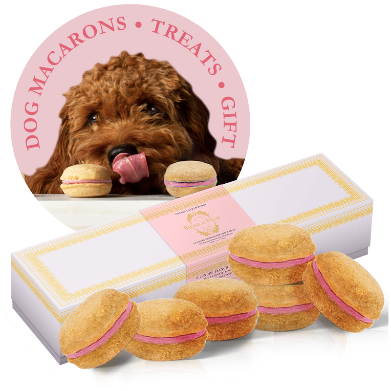 Dog Macarons (Box of 6) - bundle of 3 - Bonne et Filou