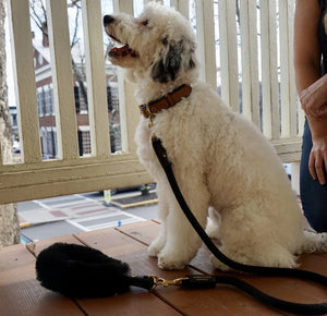 Bundle Shearling Fur Grip + Rope Leash for Dogs - Bonne et Filou