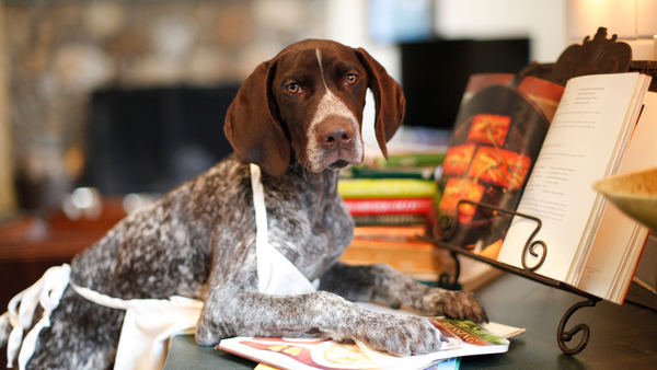 The Dos and Don’t of Cooking for Your Dog-Bonne et Filou