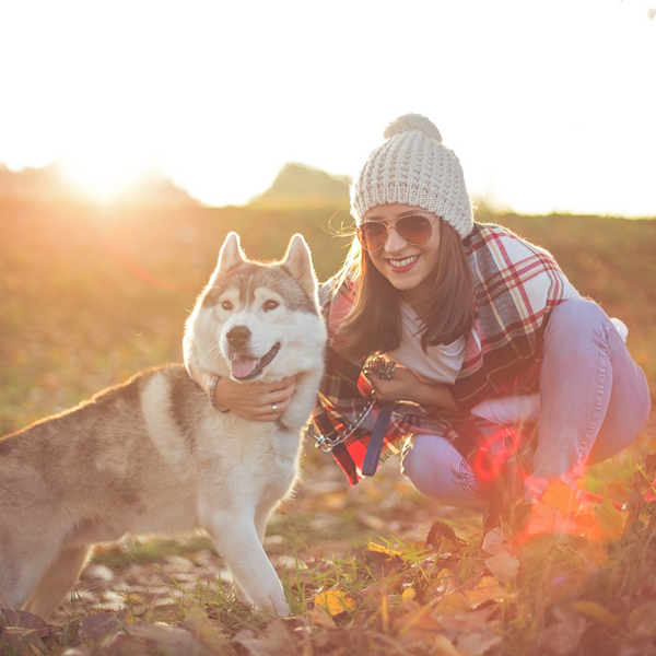 THESE FALL FAVORITES COULD HAVE A NEGATIVE EFFECT ON YOUR DOGS HEALTH-Bonne et Filou