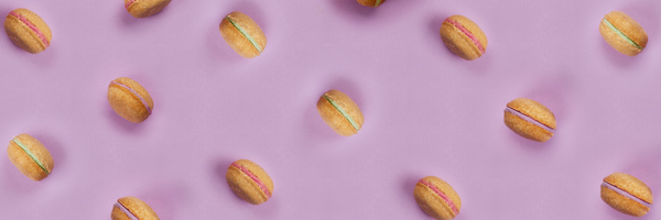 macarons for dogs