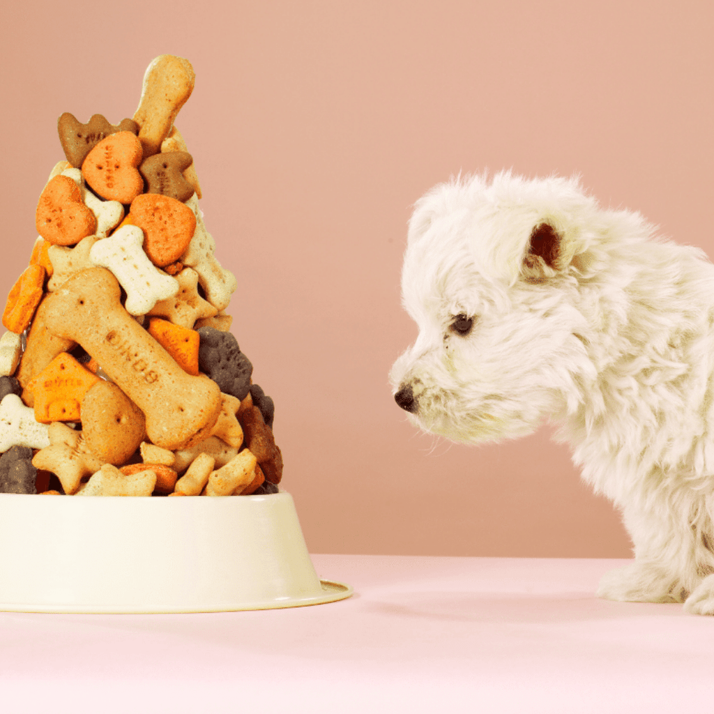 25+ Woofalicious Homemade Dog Treats Your Pup Will Woof For! - It's Free At  Last