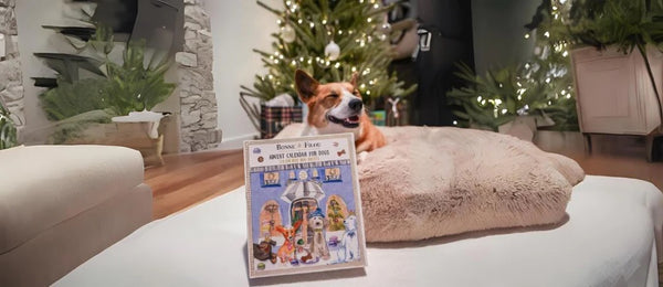 Dog Treat Advent Calendar