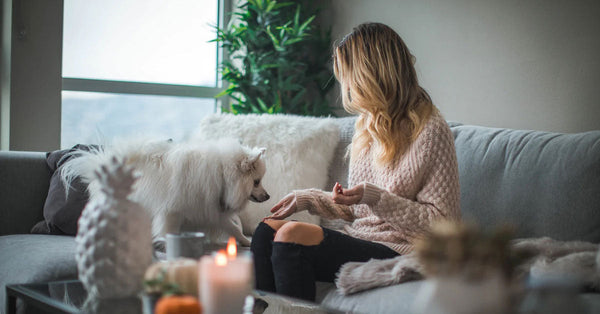 Dog and Pet owner Bonding time
