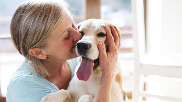 Caring for a senior dog