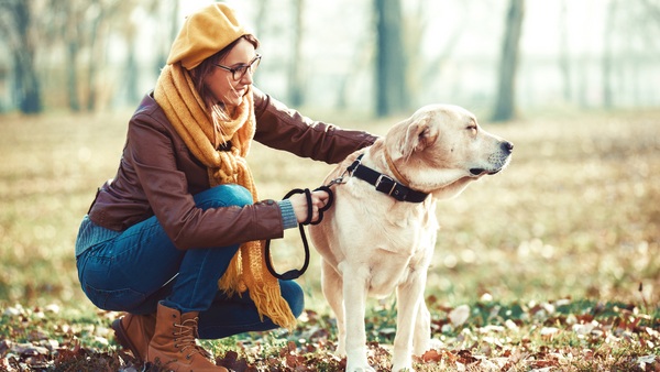 The Best Ways To Spend Fall With Your Dog-Bonne et Filou
