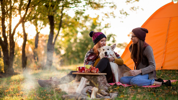 Dog-friendly Places In New York To Enjoy Fall With Your Pup-Bonne et Filou