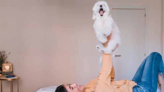 How to Introduce a New Pet Into Your Home-Bonne et Filou