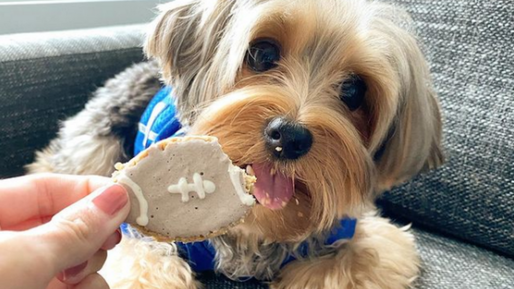 A List of Human Foods Dogs Can't Eat - The Dogington Post