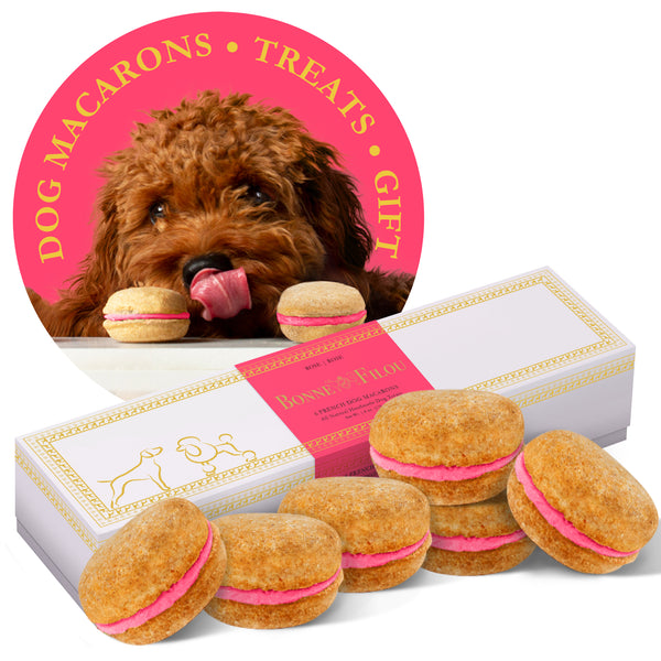 Dog Macarons (Box of 6) - Bonne et Filou