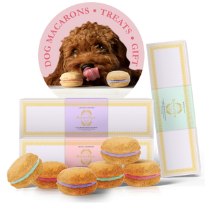 Dog Macaron Club - 6 Months Gift Subscription