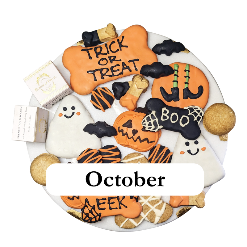 Themed Dog Treats Box Subscription - Month-to-Month