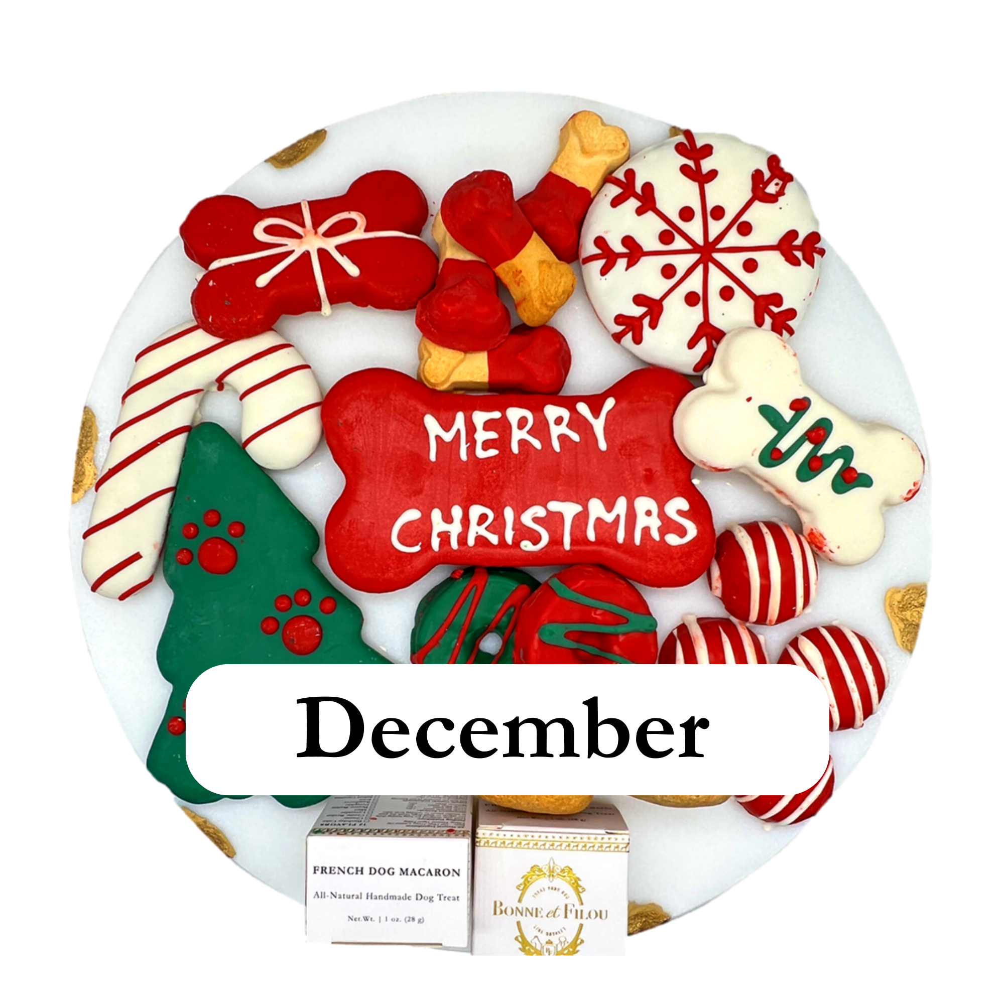 Themed Dog Treats Box Subscription - 12 Months Prepaid