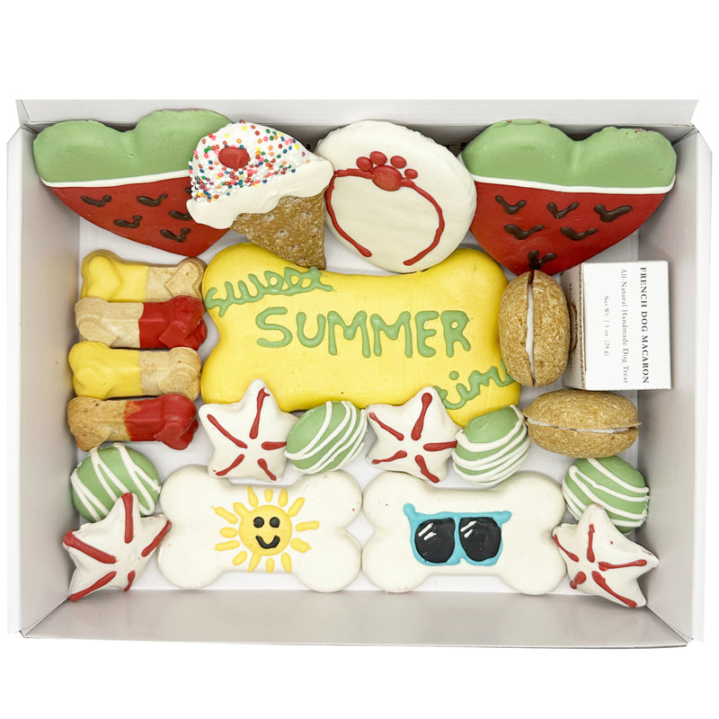 Summer Themed Dog Treats Gift Box