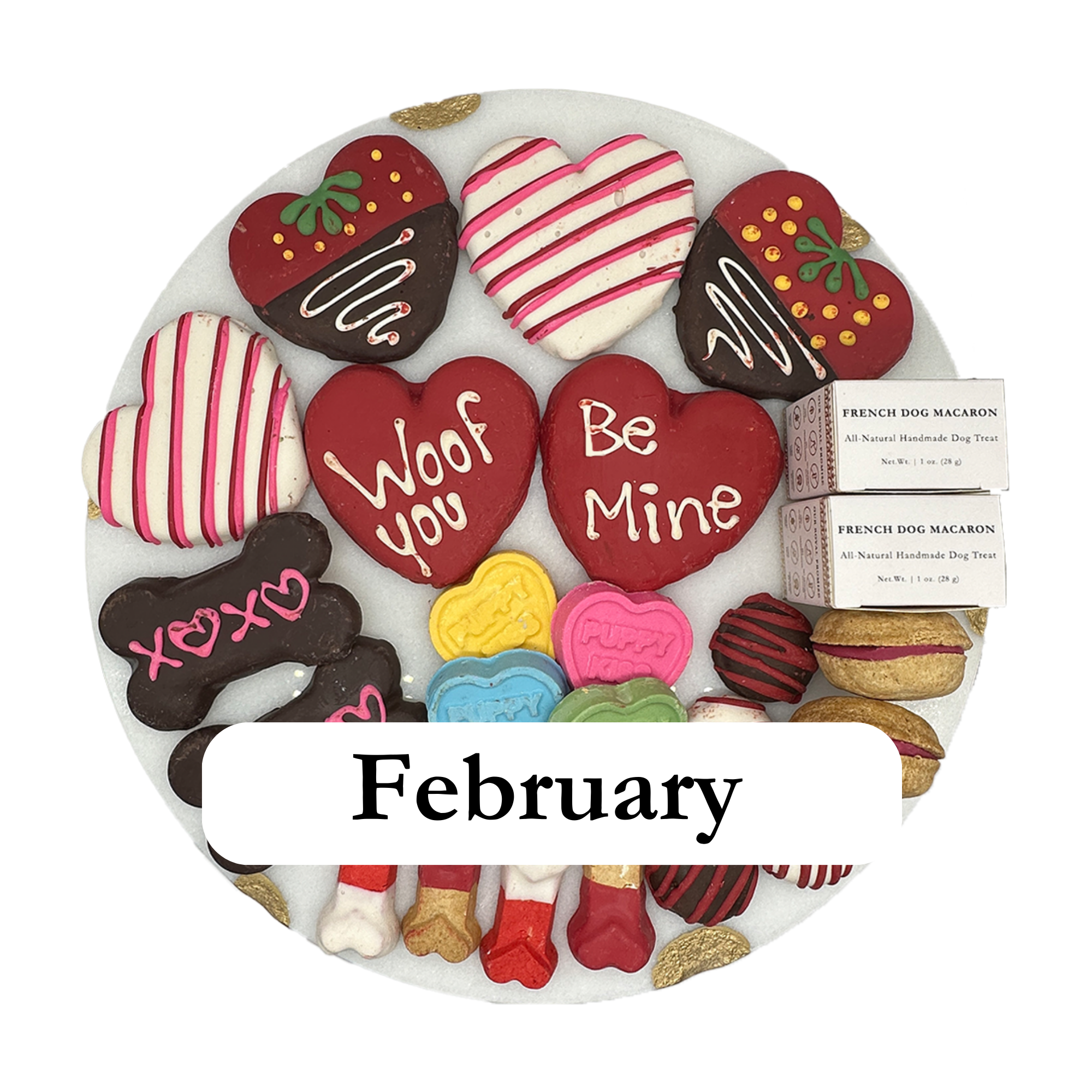 Themed Dog Treats Box 