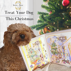 Dog Treats Advent Calendar - 24 Holiday Treats for Dogs