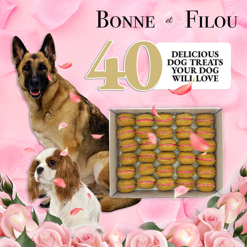 40 Pieces Count Delicious Dog Macaron Treats Gift Box