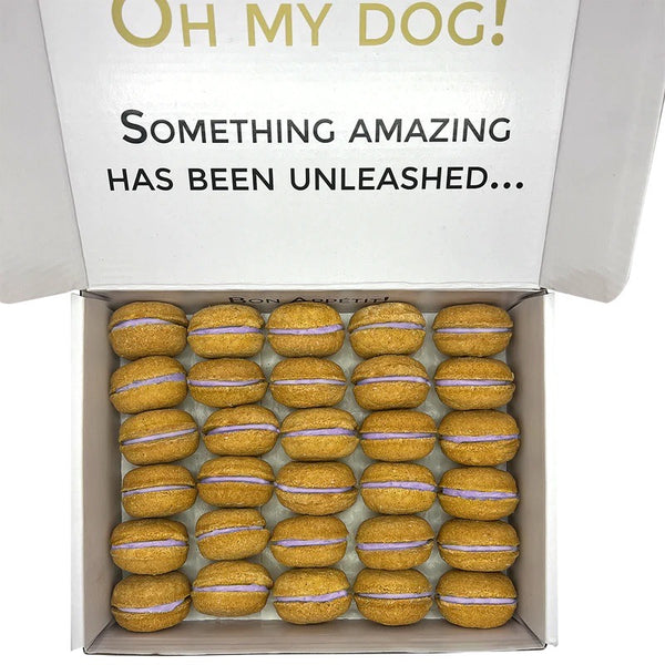 40 Pieces Count Dog Macaron Treats Gift Box Open