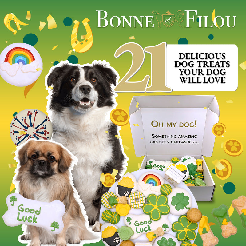 Good Luck Themed Dog Treats Gift Box