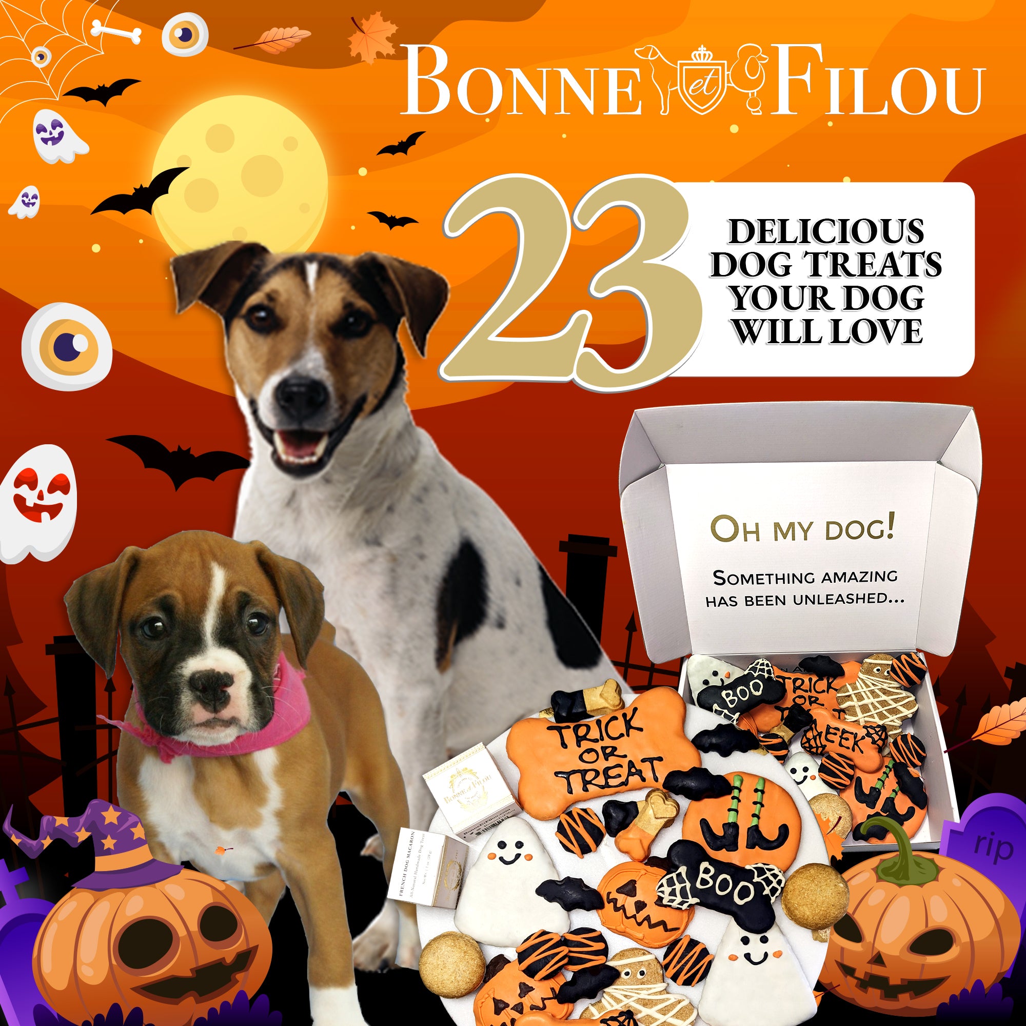 https://bonneetfilou.com/cdn/shop/files/6.HalloweenGiftBox_treats.jpg?v=1694658330