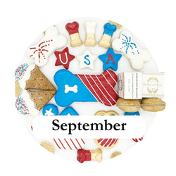 Themed Dog Treats Box Subscription - Month-to-Month