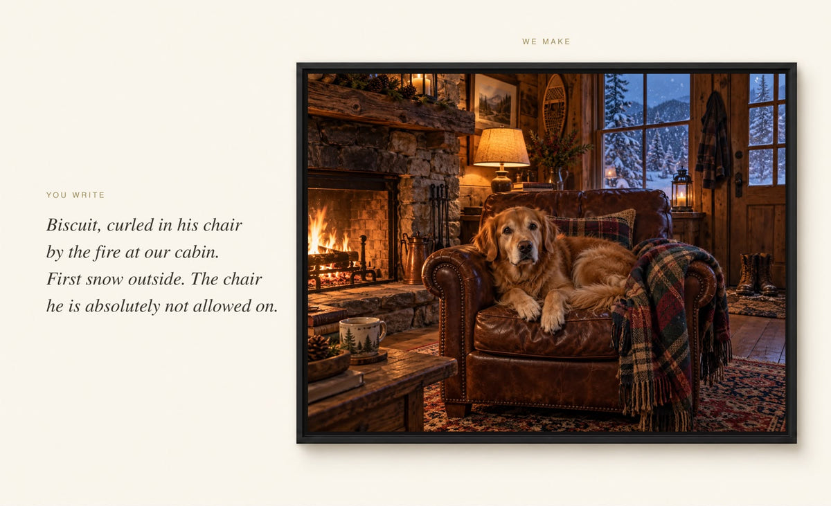 Le Sur-Mesure example: Biscuit curled up in his chair