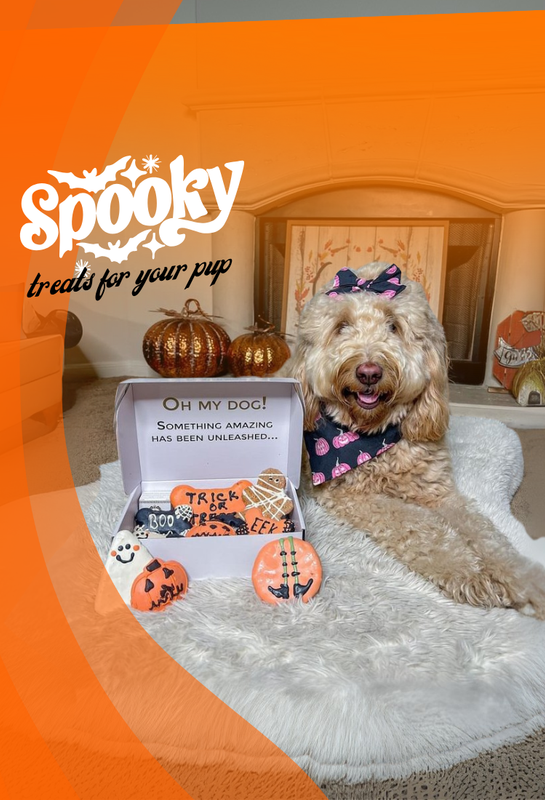 Dog with Halloween-themed packaging and decorations on a carpeted floor.