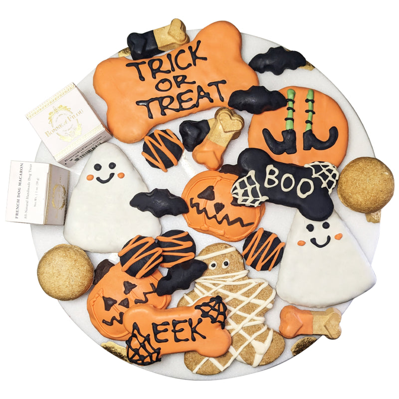 Halloween Themed Dog Treats Gift Box Holiday Dog Macarons