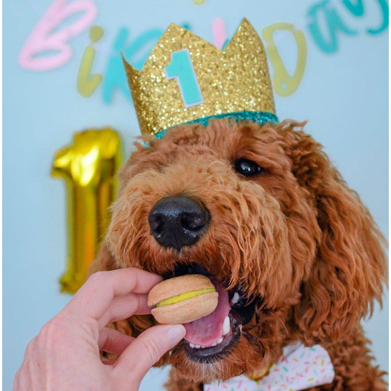 Happy Birthday Dog Treats Gift Box