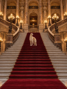 L'Escalier d'Honneur, a Bonne et Filou L'Atelier scene, Portrait 3:4