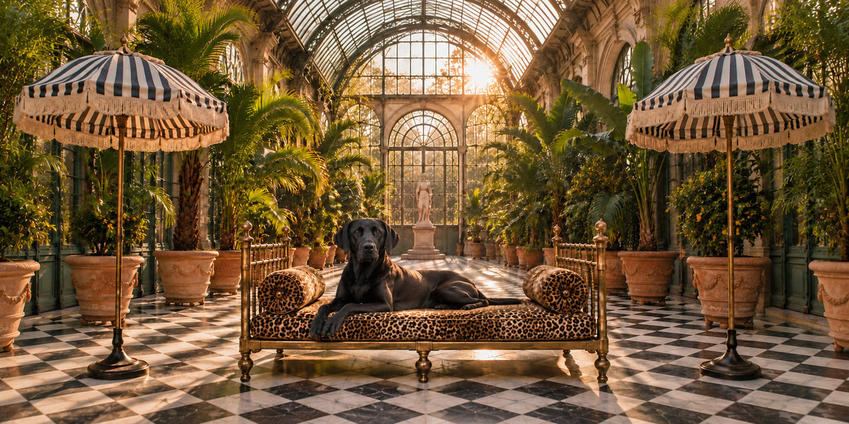 L'Orangerie with a different dog