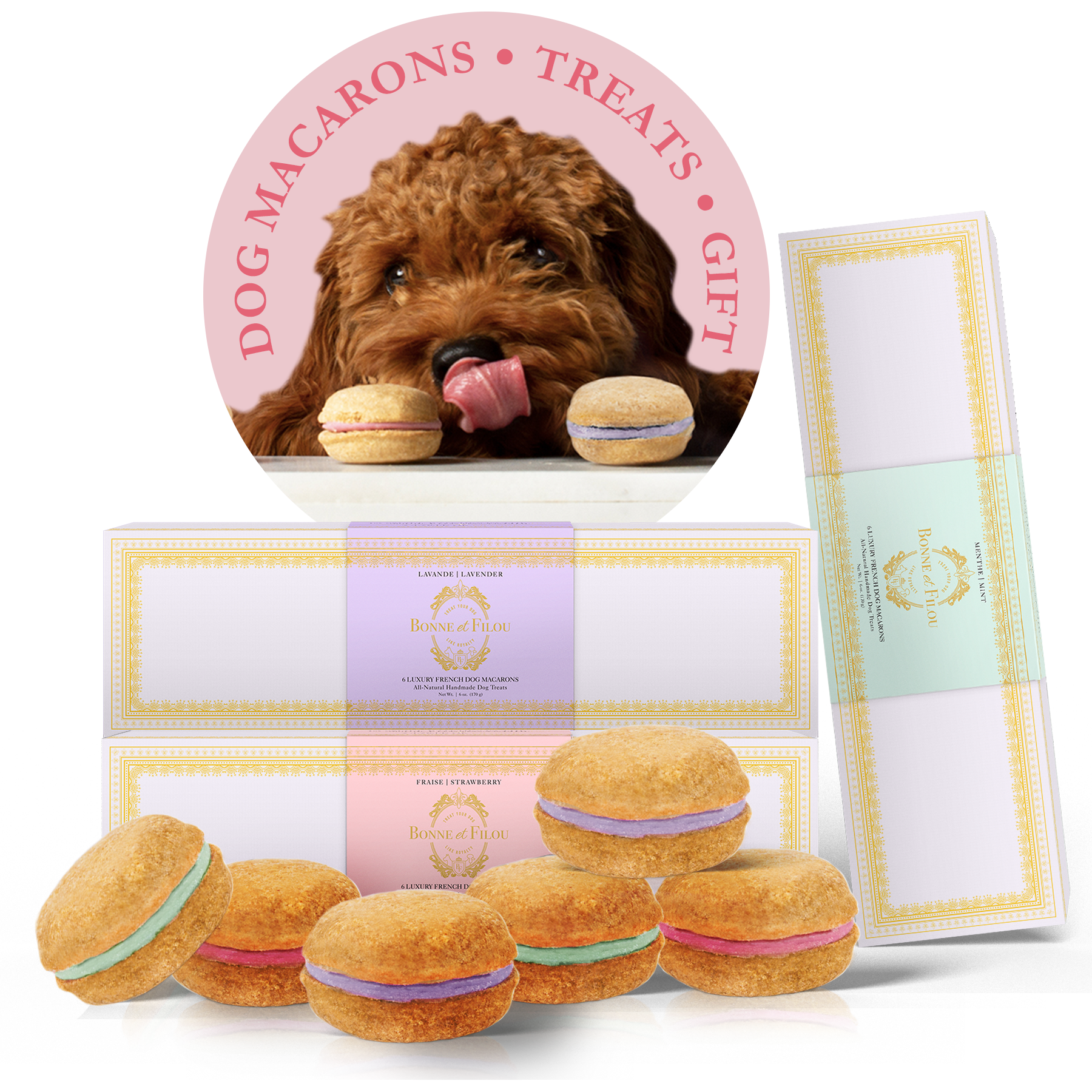 Dog Macarons (Box of 6) - bundle of 3 - Bonne et Filou