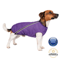 Eco lucks dog sales collar