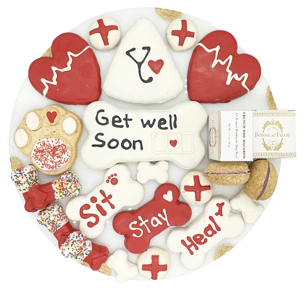 6 Get Well Soon Gifts for Dogs