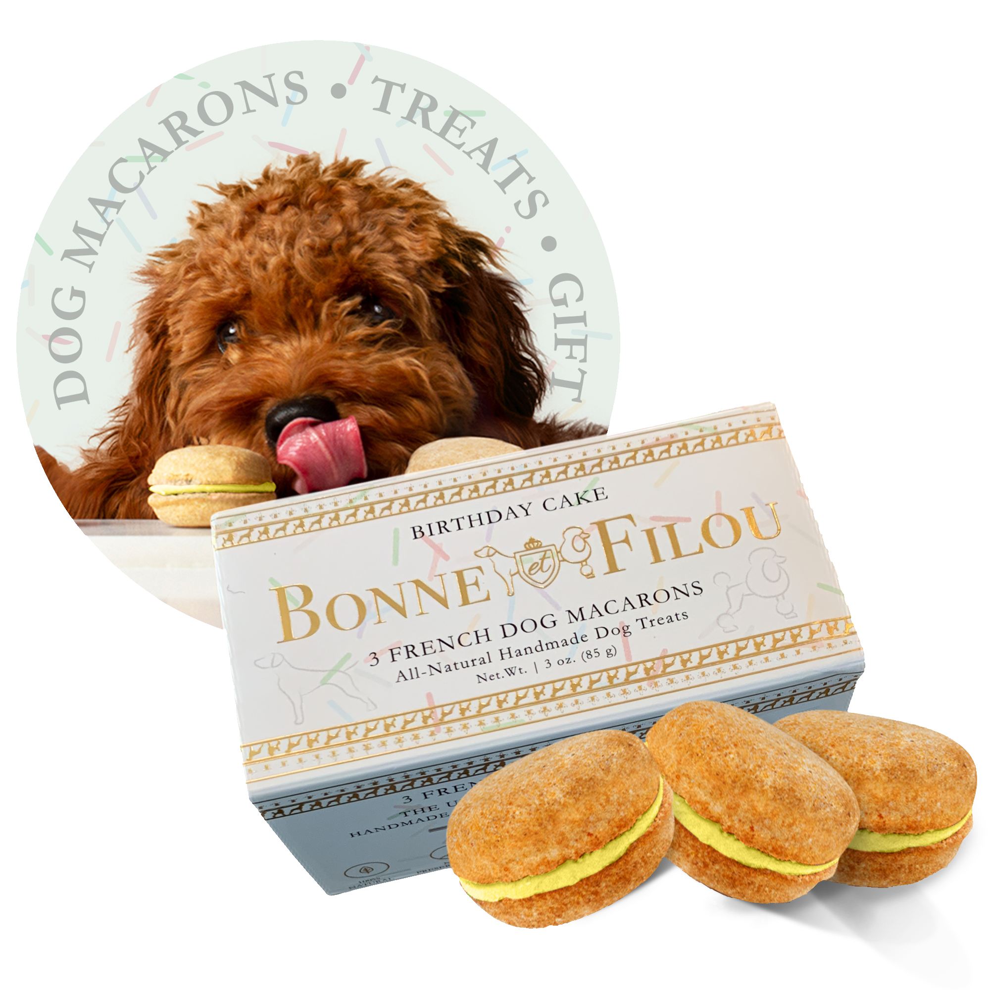 Dog Macarons (Box of 3) - Bonne et Filou