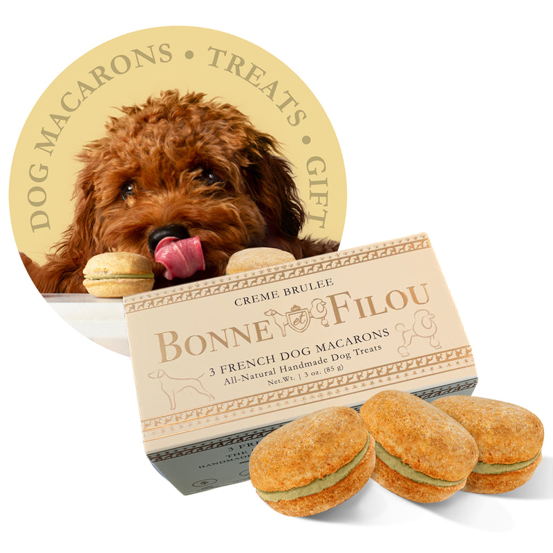 Dog Macarons (Box of 3) - Bonne et Filou