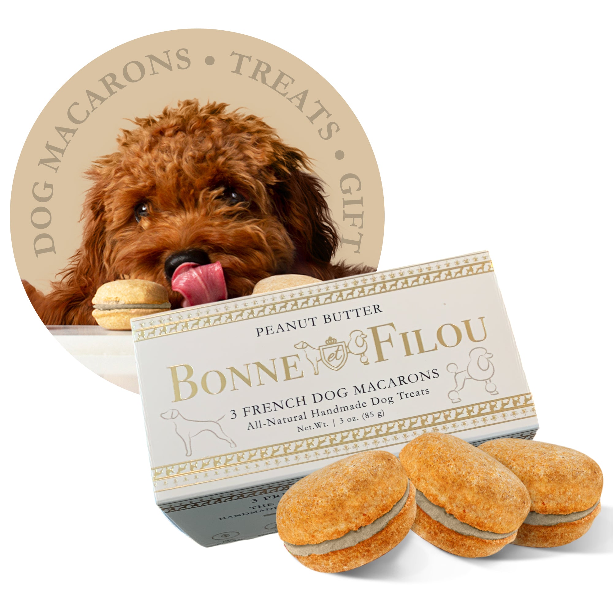 Dog Macarons (Box of 3) - Bonne et Filou