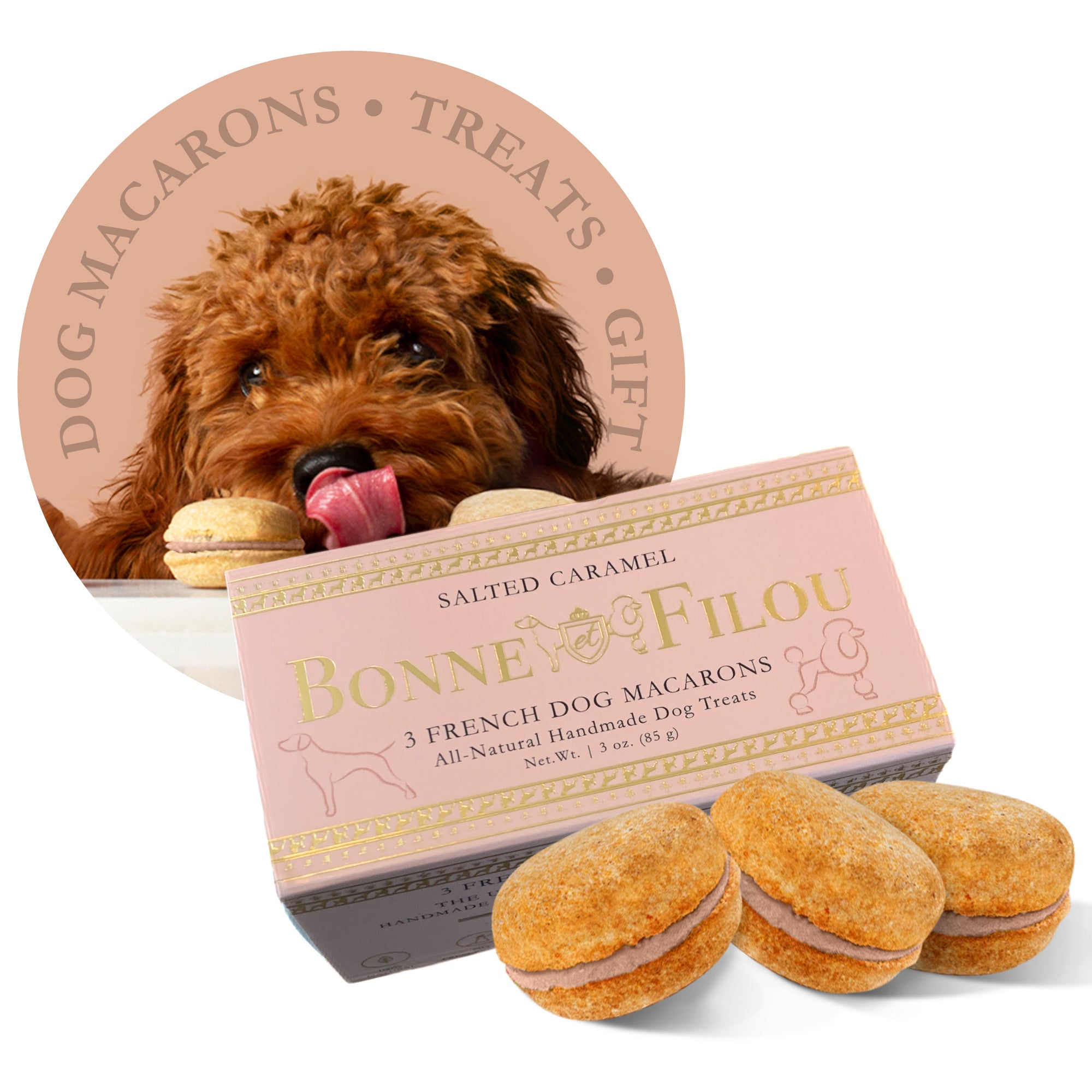 Dog Macarons (Box of 3) - Bonne et Filou