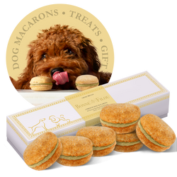 Dog Macarons (Box of 6) - bundle of 5 - Bonne et Filou