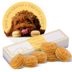 Dog Macarons (Box of 6) - bundle of 2 - Bonne et Filou