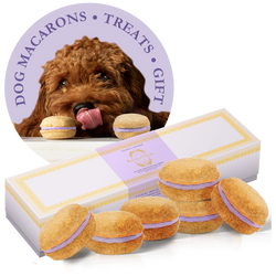 Dog Macarons (Box of 6) - bundle of 3 - Bonne et Filou