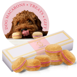 Dog Macarons (Box of 6) - bundle of 2 - Bonne et Filou