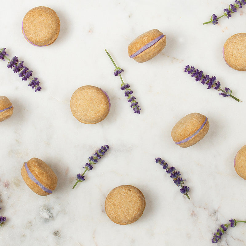 Lavender Dog Macarons - Bonne et Filou