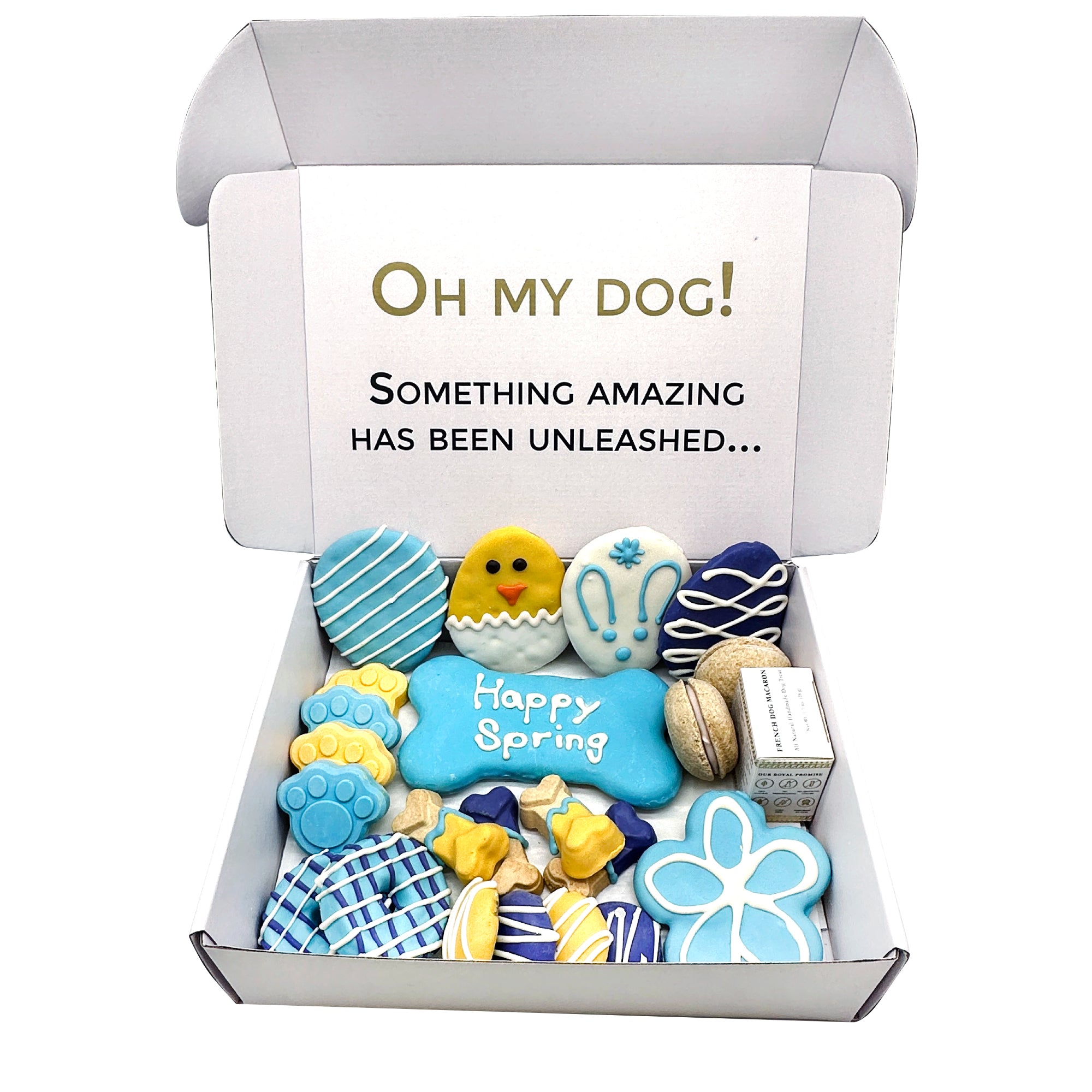 Luxury Dog Gift Ideas: a Complete Guide to Pamper Your Pooch
